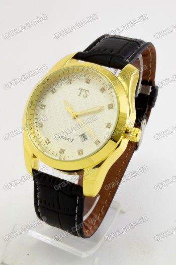Мужские наручные часы TS 8234 (код: 22053)